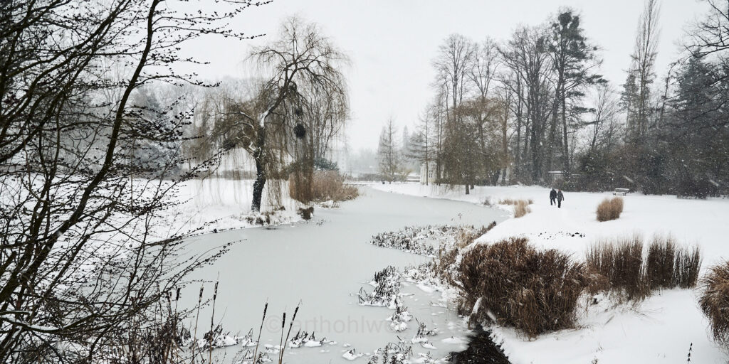 Kurpark: Malerblick im Winter (Ausschnitt) - Stille Schritte im frisch gefallenen Schnee
